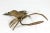 Vintage Brass Shrimp Wall Art or Decorative Object For Sale - Image 4 of 8