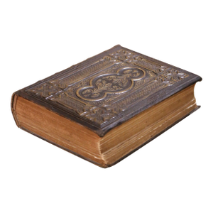 19th Century English Victorian Illustrated National Family Bible With Gilt Pages