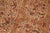 1990s Shabby Chic 1990's Pak-Persian Taupe/Green Wool Rug - 6'1'' X 9'0'' For Sale - Image 5 of 9