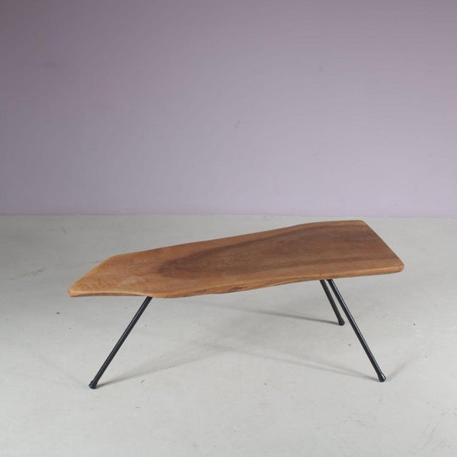 Tree Trunk Coffee Table in the Style of Aubock, Austria, 1950s For Sale - Image 9 of 11