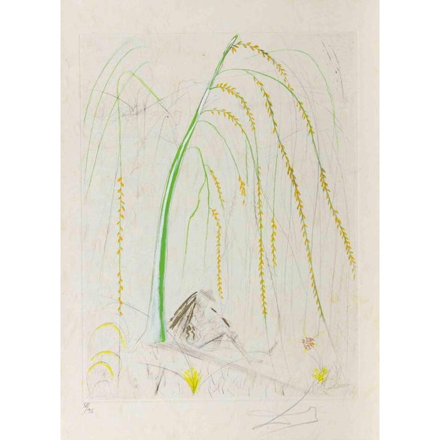 Modern Salvador Dali, La Saule Pleureur (Weeping Willow), Etching, 1968 For Sale - Image 3 of 3