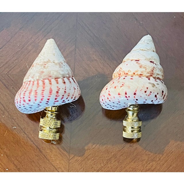 Coastal 1970s Pair Polished Turbo Shells Lamp Finials For Sale - Image 3 of 4