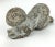 Hand Carved Antique Stone Sculpture For Sale - Image 4 of 13