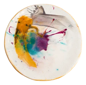 Splatter Dinner Plate by Teresa Monmas