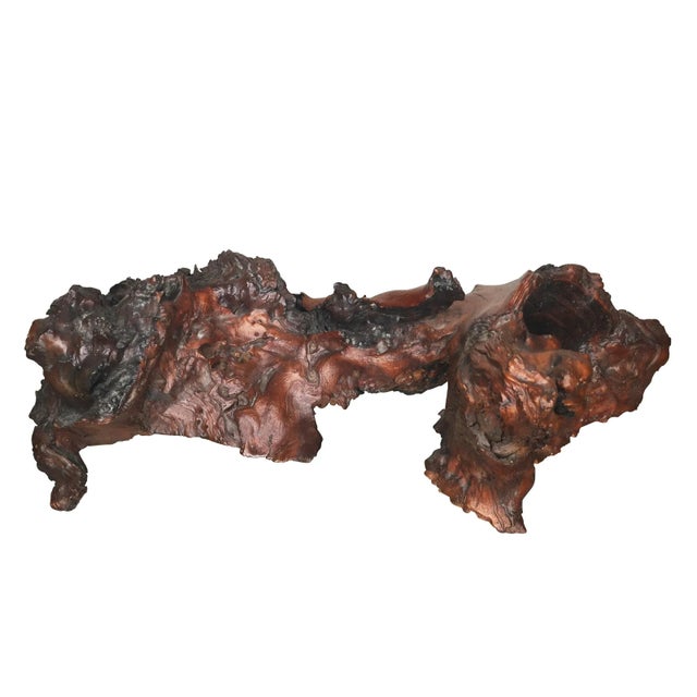 Gorgeous textural ancient pine formation with old lacquer. Often used as complimenting plants and bonsai, as well as focal...
