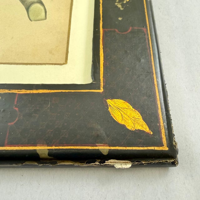 Paper English Regency Period Watercolored Cherry Print in Hand Painted Lacquered Frame For Sale - Image 7 of 16