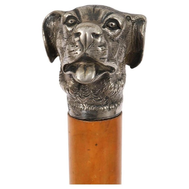 Antique Sliver Plated Handled Dogs Head Walking Stick For Sale - Image 15 of 15