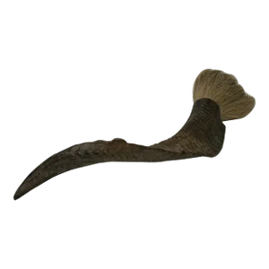 15" Rustic Natural Artistic Horn Shape Brush Accent Display