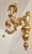 Antique Florentine Wall Lamp in Wood and Hand-Carved Gilded in Gold Leaf with Crystal Pendants, Italy, 1950s For Sale - Image 6 of 18