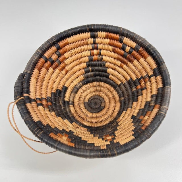 Early 20th Century Botswana Basket 8inch MATTER COLLECTION For Sale In Denver - Image 6 of 6