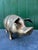 1920s English Brass Piggy Bank, 1920s For Sale - Image 5 of 10
