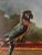 Early 20th Century Antique Fine Art Original Signed Painting of Woman on Balcony For Sale - Image 5 of 11