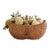 Large Early 20th Century American Splint Oak Buttocks Gathering Basket For Sale