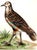 Late 20th Century Hermes Vintage Bird Catchall/Ashtray. For Sale - Image 5 of 8