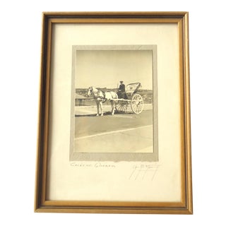 Vintage Quebec Horse Drawn Carriage Photo For Sale