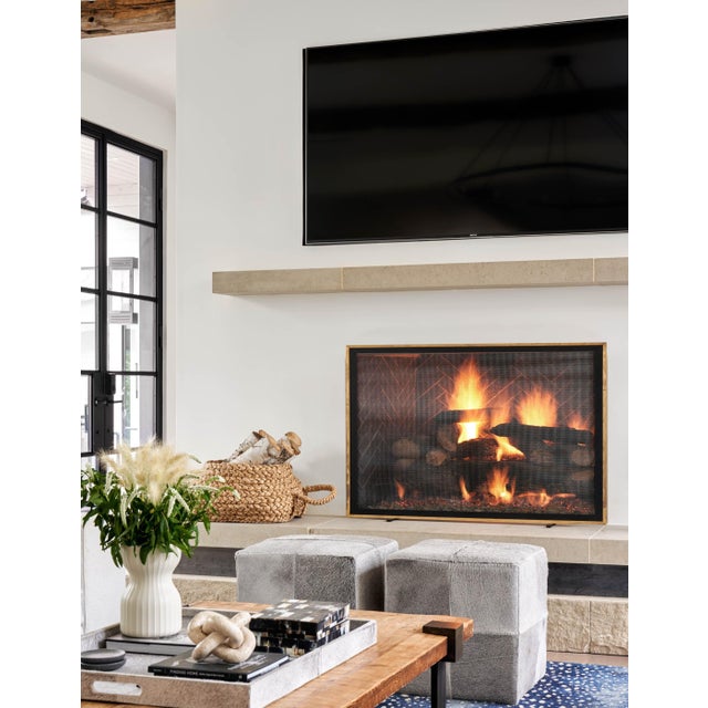 Matte Black Bleeker Fireplace Screen Iron For Sale In Dallas - Image 6 of 10