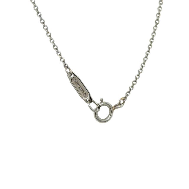 Schlumberger for Tiffany & Co., Sixteen Stone Diamond Circle Pendant/Necklace For Sale In Chicago - Image 6 of 6