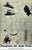 Presence of Joan Prats Exhibition Poster after Joan Miró For Sale