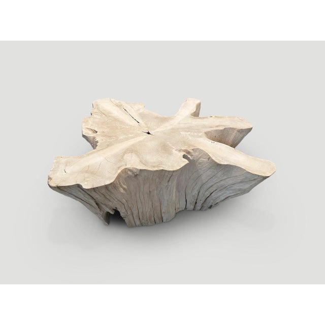 Wood Andrianna Shamaris Amorphous Bleached Teak Wood Coffee Table For Sale - Image 7 of 18