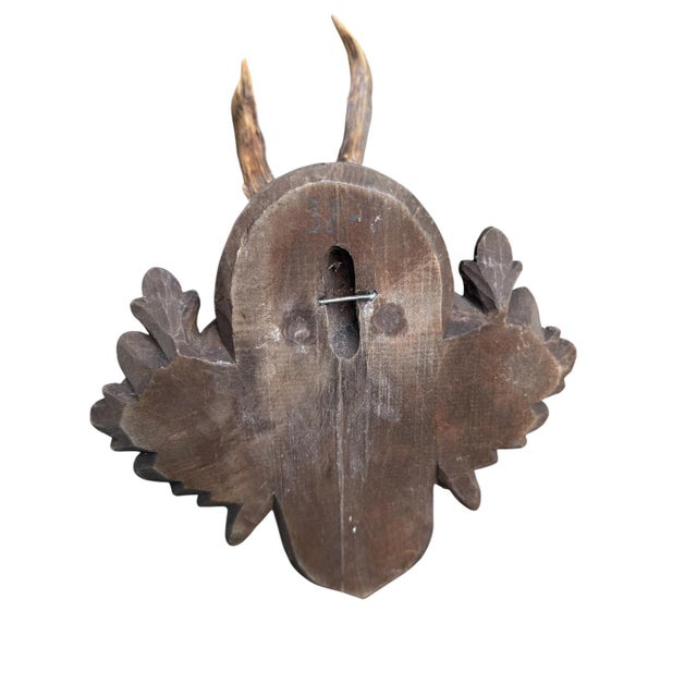 1900 - 1909 Roe Deer Trophy 166 Black Forest Mount Circa 1904 For Sale - Image 5 of 5