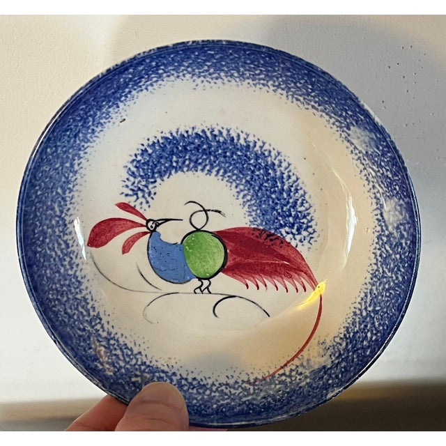 Antique 19th century Hackwood peafowl blue spatterware saucer dish. Decorated with an exotic bird and spatter edge....