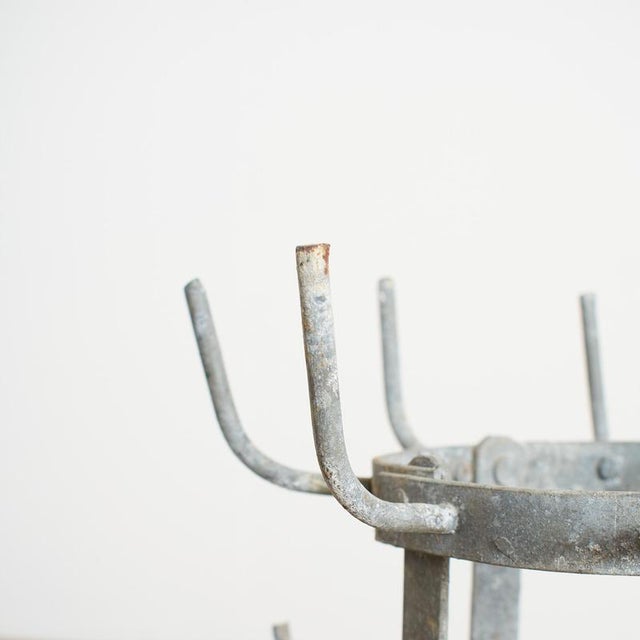 Vintage French Bottle Drying Rack, 1960s For Sale - Image 4 of 8