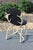 Attributed to Arthur Court Antler Side Chair 1970s For Sale - Image 18 of 18