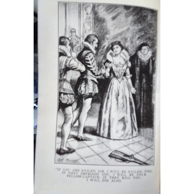 Early 20th Century Early 20th Century Alexandre Dumas Books- Set of 9 For Sale - Image 5 of 6