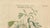 Vanilla Planifolia, 1800s, Paper For Sale - Image 3 of 10