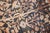 Early 20th Century Early 20th Century Persian Bakhtiari Oversize Snake Rug - 13'7" x 22' For Sale - Image 5 of 18