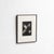 Karl Blossfeldt, Natural Grace, 1942, Photogravure, Framed For Sale - Image 7 of 13