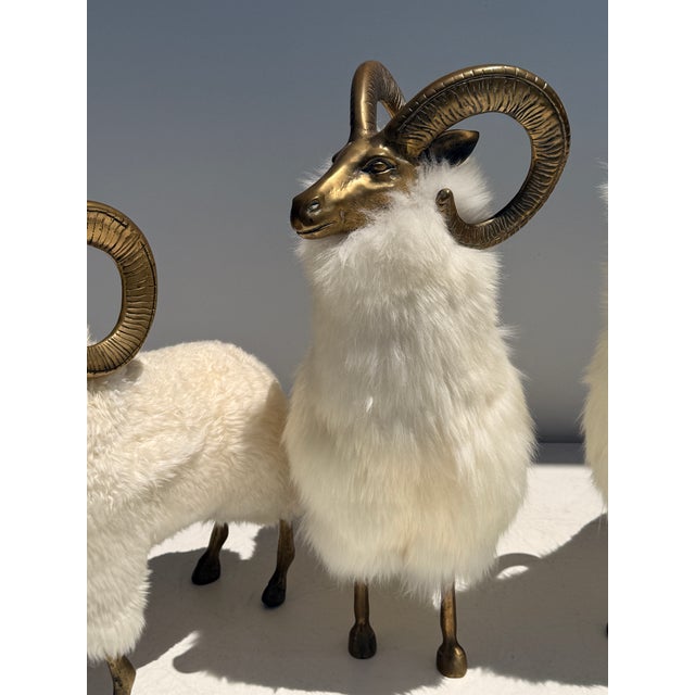 1970s Set of Brass and Fur Mountain Sheep Ram Sculptures - Set of 3 For Sale - Image 9 of 12