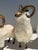 1970s Set of Brass and Fur Mountain Sheep Ram Sculptures - Set of 3 For Sale - Image 9 of 12