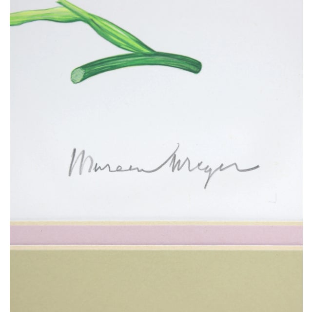 Vintage hand-painted plant specimen watercolor freesia flower (with frame). Signed in the lower right corner Freesia...