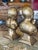 Vintage Esco Chalkware Boy and Girl Bookends or Busts, Gold For Sale - Image 9 of 9