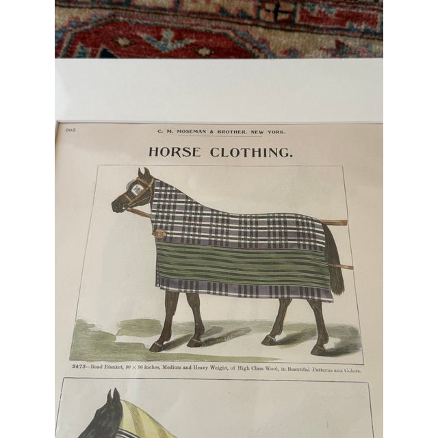 Late 19th Century Antique Horse Engravings, a Pair For Sale - Image 4 of 5