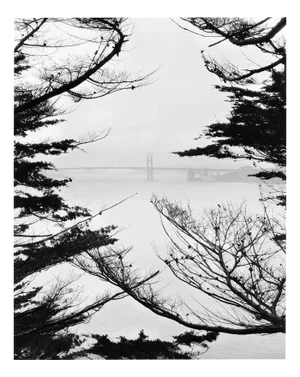 Golden Gate Bridge Lands End -Black and White Photography, Limited Edition of 20 2023