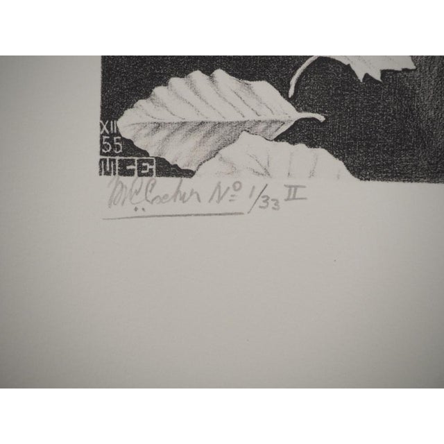 Maurits Cornelis Escher, Autumn and Carp, 2008, Engraving For Sale - Image 4 of 9