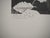 Maurits Cornelis Escher, Autumn and Carp, 2008, Engraving For Sale - Image 4 of 9
