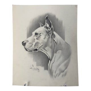 1940s Original Signed Graphite Illustration of Boxer Dog Portrait, 11 × 9 In. For Sale