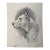 1940s Original Signed Graphite Illustration of Boxer Dog Portrait, 11 × 9 In. For Sale