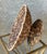 Late 20th-Century Handwoven Water Hyacinth Pedestal Centerpiece Bowl For Sale - Image 16 of 18