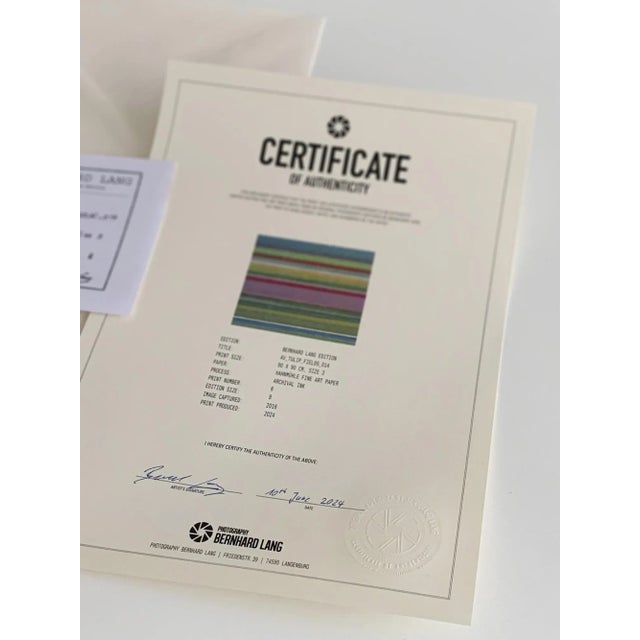 Green "AV_Tulip_Fileds_014" Contemporary Limited Edition Fine Art Photograph Print by Bernhard Lang For Sale - Image 8 of 10