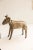 Late 20th Century Vintage African Ram Sculpture For Sale - Image 5 of 8