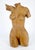 Very Fine Carved Oiled Mango Wood Sculpture of a Nude Female Bust MINT