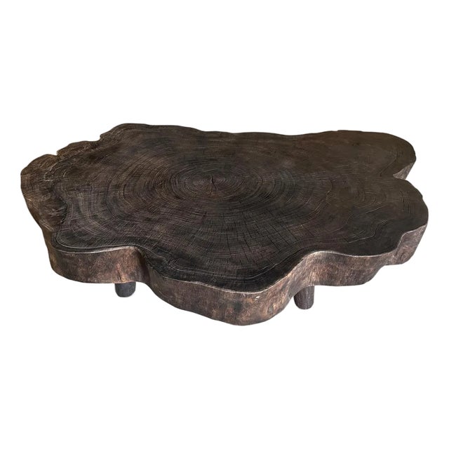Andrianna Shamaris Amorphous Charred Coffee Table For Sale