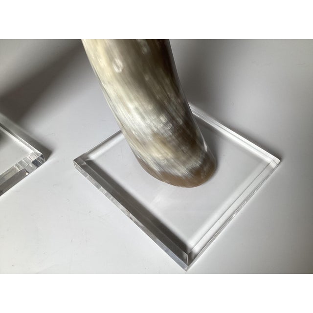 Late 20th Century Natural Steer Horns on Lucite Bases - A Pair For Sale - Image 5 of 8
