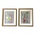 Original Pair of Botanical Pastels Art in Gilt Frames Signed 1986 Mid Size For Sale