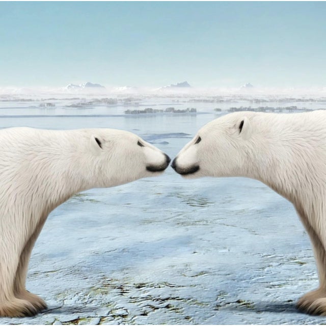 Contemporary Mr Strange, Oil! Oil! Oil!, 2022, Print on Paper For Sale - Image 3 of 8