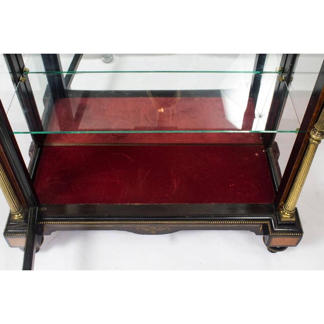 Brown Victorian Amboyna & Ebonized Pier Cabinet For Sale - Image 8 of 11